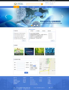 網(wǎng)頁設(shè)計 打造用戶體驗(yàn)至上的Web頁面